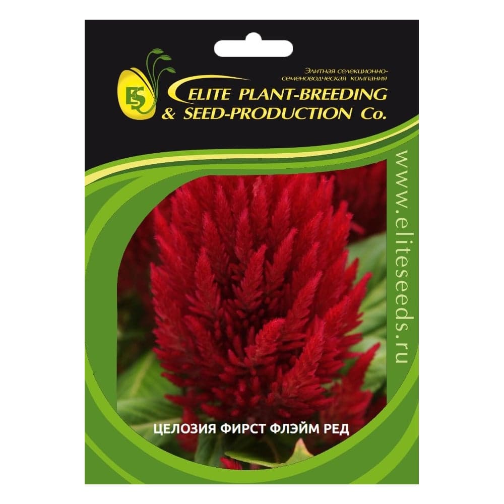 Целозия перистая фирст флэйм скарлет 30 шт эс мини ELITE PLANT-BREEDING & SEED PRODUCTION Co. 1999949343