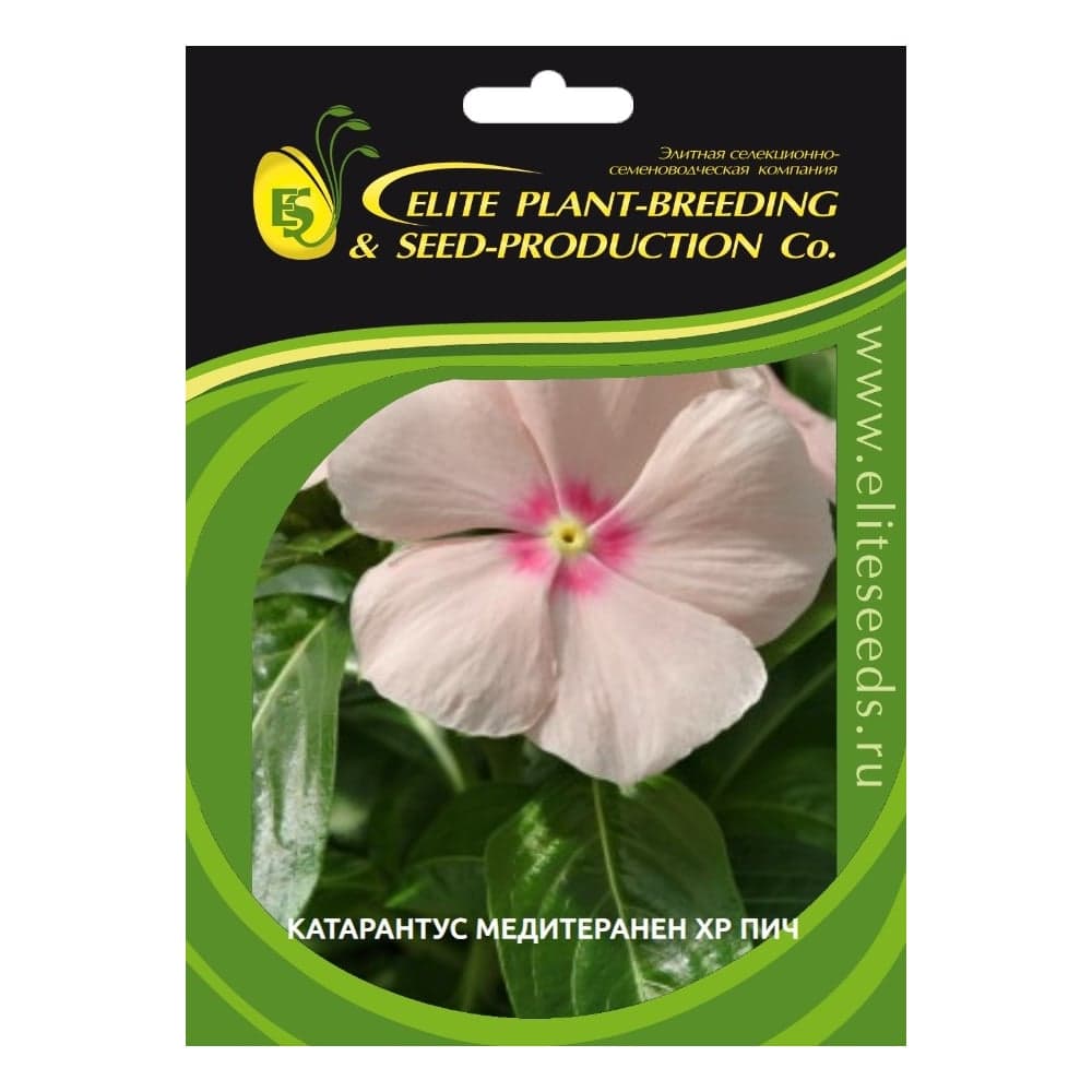 Катарантус гибридный медитеранен хр пич 30 шт эс мини ELITE PLANT-BREEDING & SEED PRODUCTION Co. 1026993818