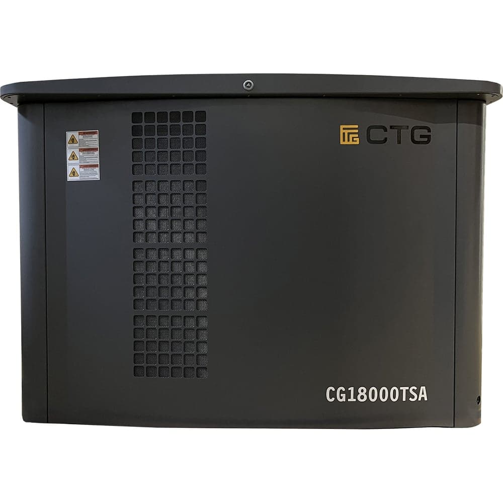 Электроагрегат газопоршневой CG18000SA в кожухе CTG 4687204619069