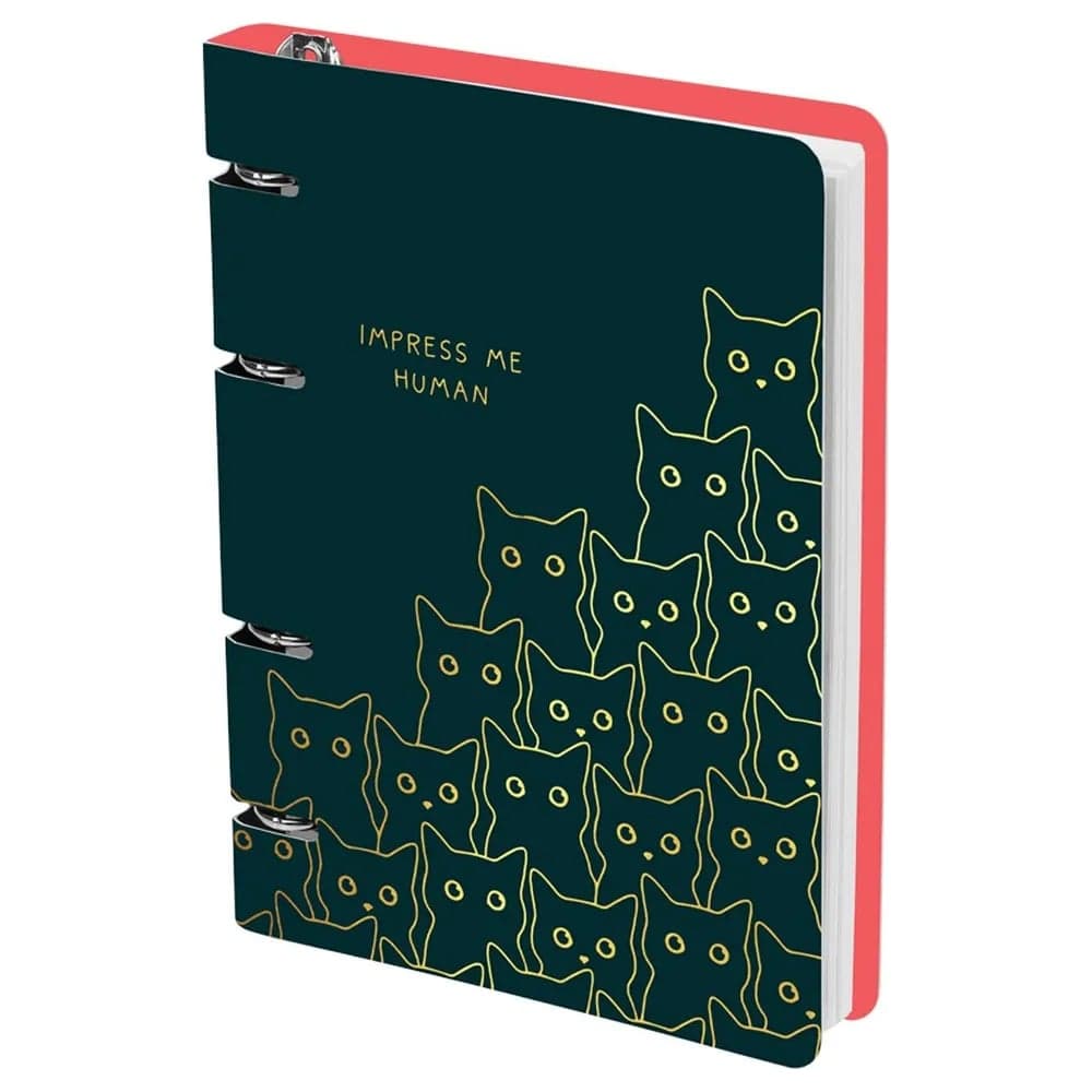 Тетрадь на кольцах MESHU А5, 100 л., Amazing cats, картон MS50665 MS_50665