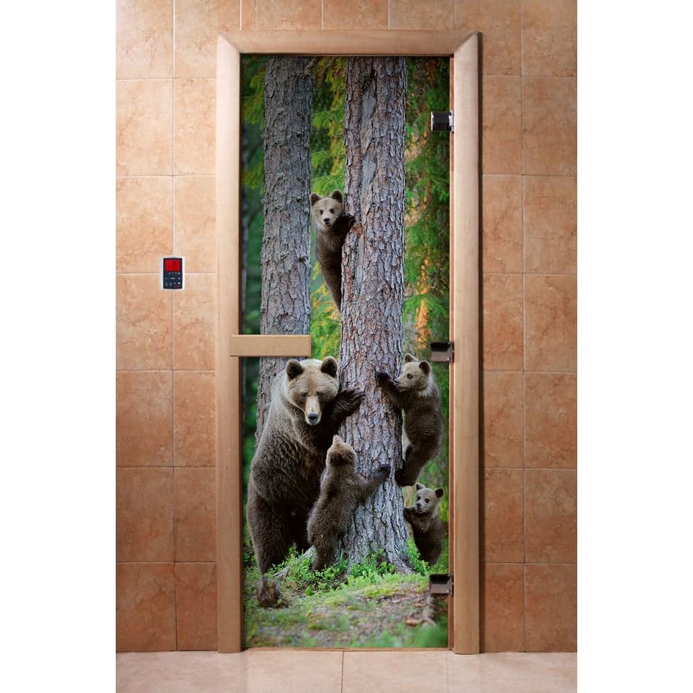 Дверь для бани DoorWood фотопечать, рисунок а064, 2000x700 мм УТ-00014676