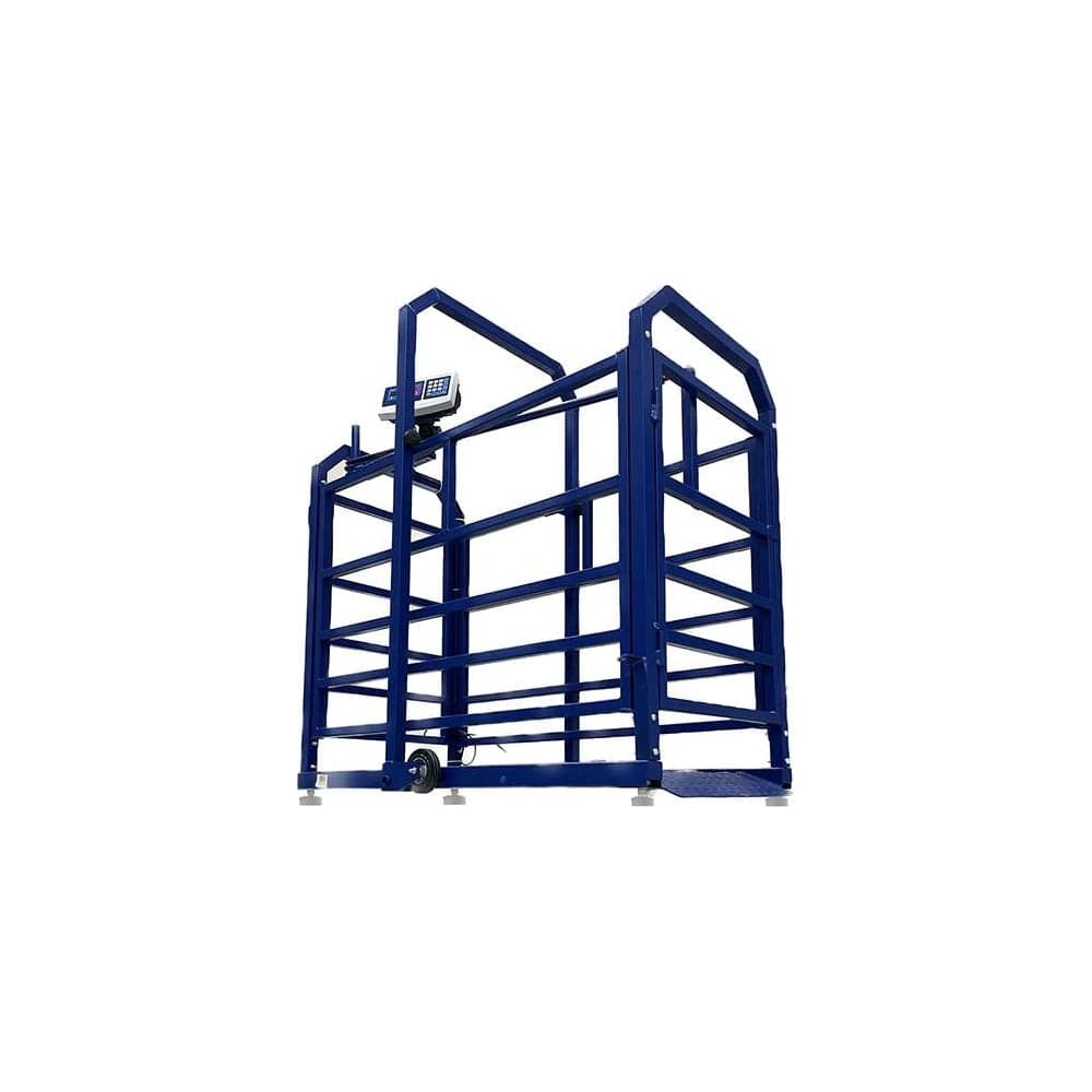 Весы Middle МП 300 ВЕДА Ф-1 50/100, 1500x800 мм "Живой вес" М 07 1141000240