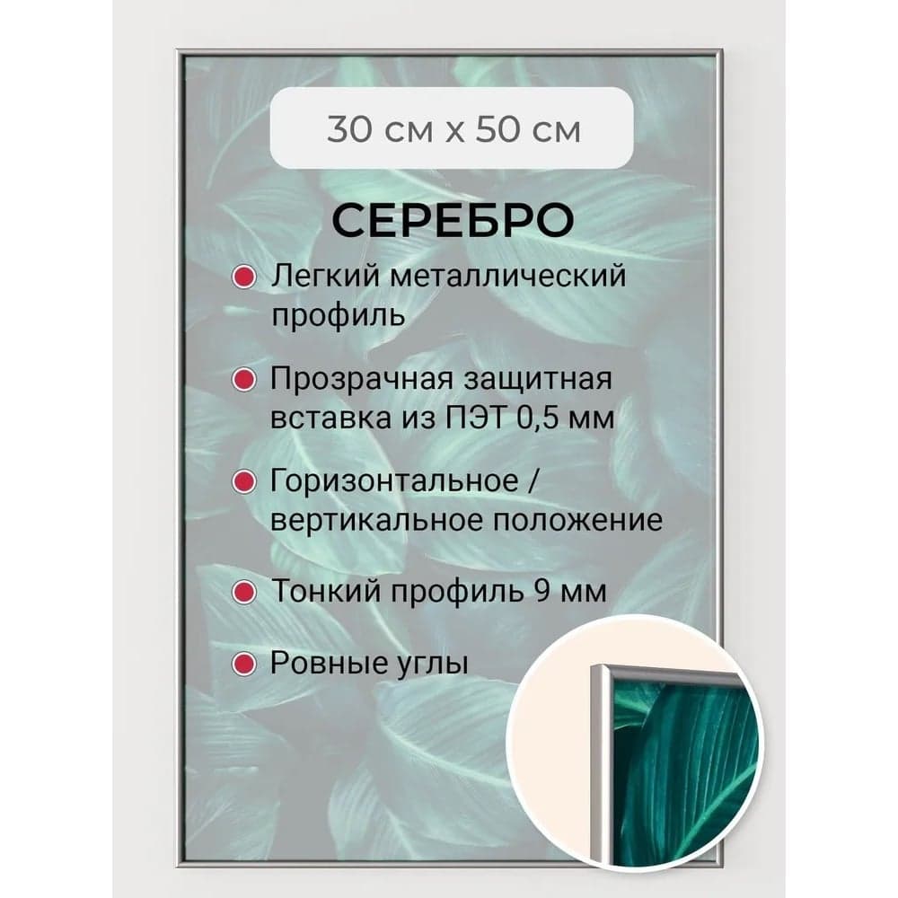 Фоторамка ООО Первое ателье серебристая алюминиевая рамка 30x50 см Niel-2sm-30x50 Niel-2sm-30х50