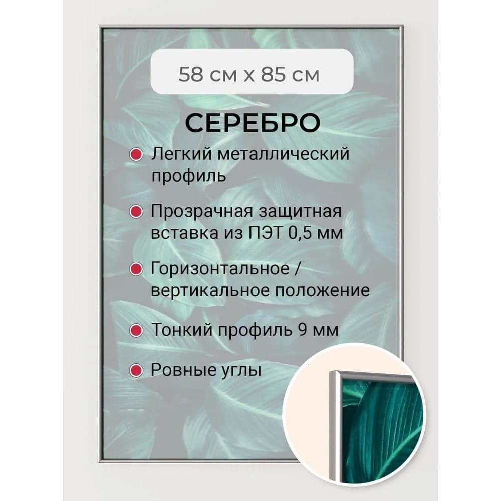 Фоторамка ООО Первое ателье серебристая алюминиевая рамка 58x85 см Niel-2sm-58x85 Niel-2sm-58х85