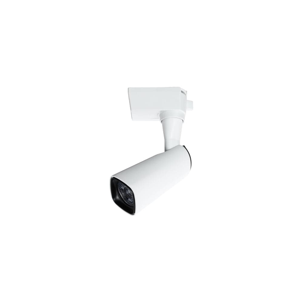 Потолочный светильник Arte Lamp A4561PL-1WH