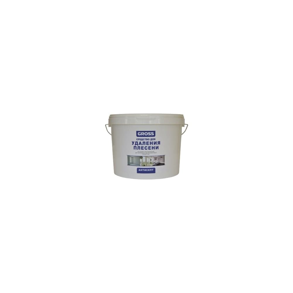 Пропитка GROSS Антисепт 10л 4620002840679