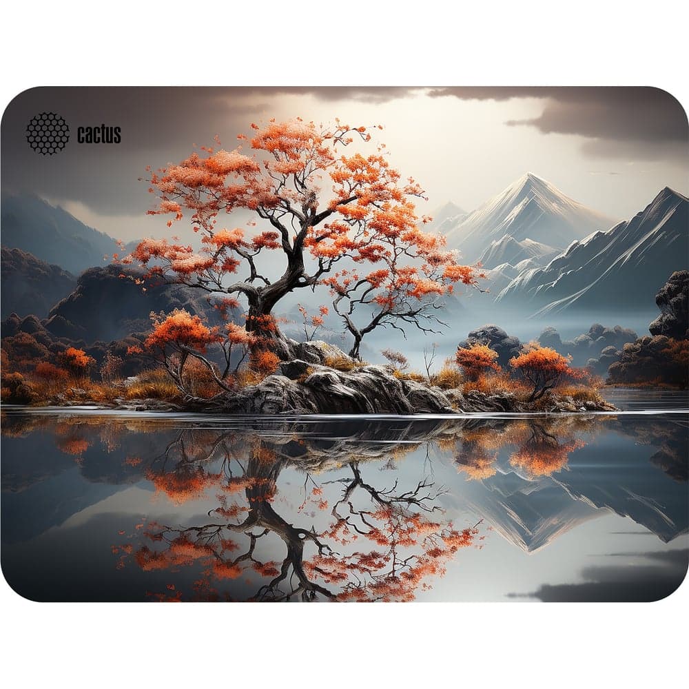 Коврик для мыши CACTUS Lake 400x300x3 мм (CS-MP-PRO18XL) 2028653