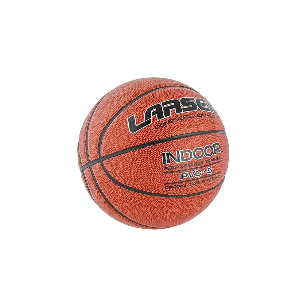 Мяч баскетбольный Larsen PVC-5 (ECE) 4690222177091