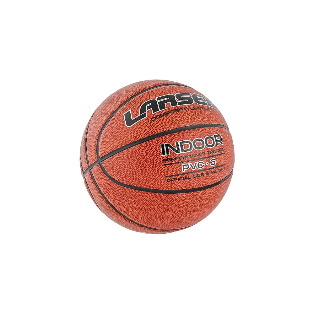 Мяч баскетбольный Larsen PVC-6 (ECE) 4690222177107