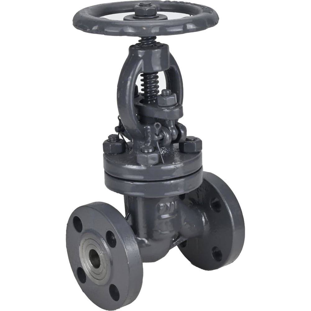 Клапан запорный сальниковый DN.ru 15с65нж WCB-WCB-M-F-S Ду65 Ру16 D090-02859