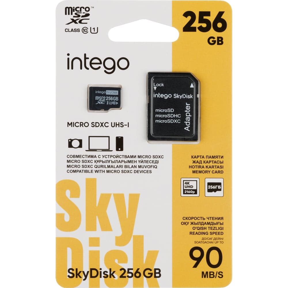 Карта памяти SkyDisk 256GB INTEGO SD-256