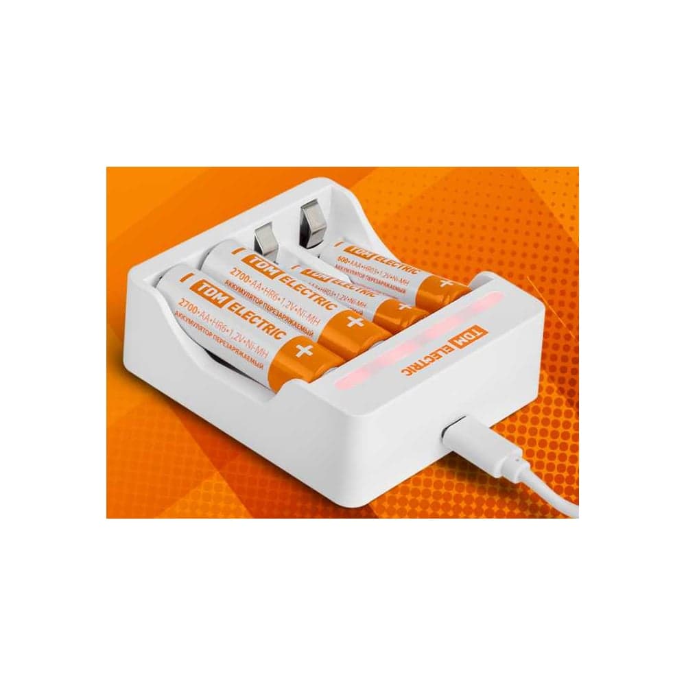 Зарядное устройство TDM ELECTRIC 2044 (200 mA 4 слота АА/ААА 4 кан. USB) TDM SQ1702-0107