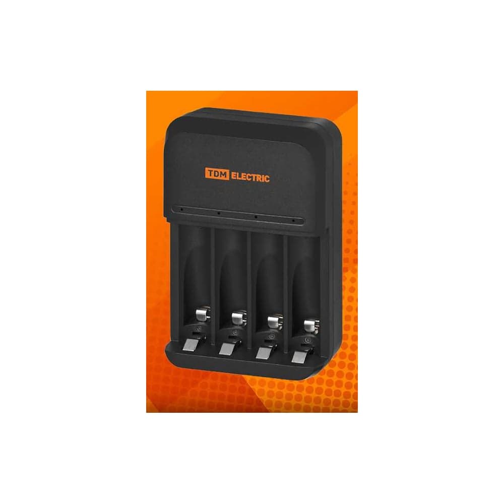 Зарядное устройство TDM ELECTRIC 8042 (800 mA 4 слота АА/ААА 2 кан.), 220 В, TDM SQ1702-0109