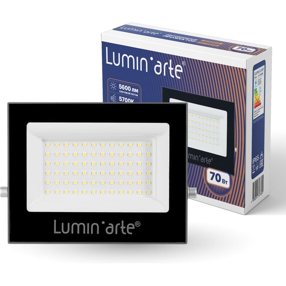 Светодиодный прожектор Lumin'arte 70Вт, 5700К, IP65, серый корпус LFL-70W/06