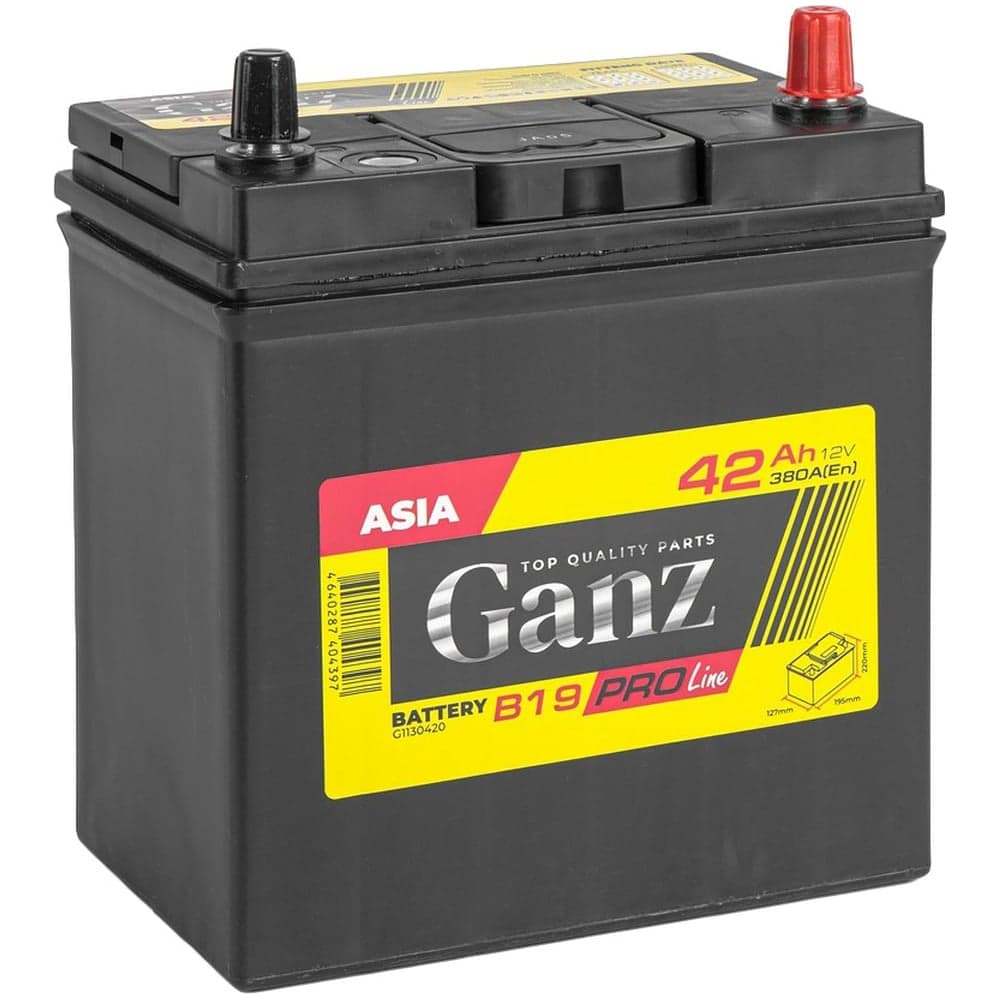 Аккумулятор Ganz PRO-Line JIS 42 А/ч обратный R+ 195x127x220 B19 EN 380 А G1130420