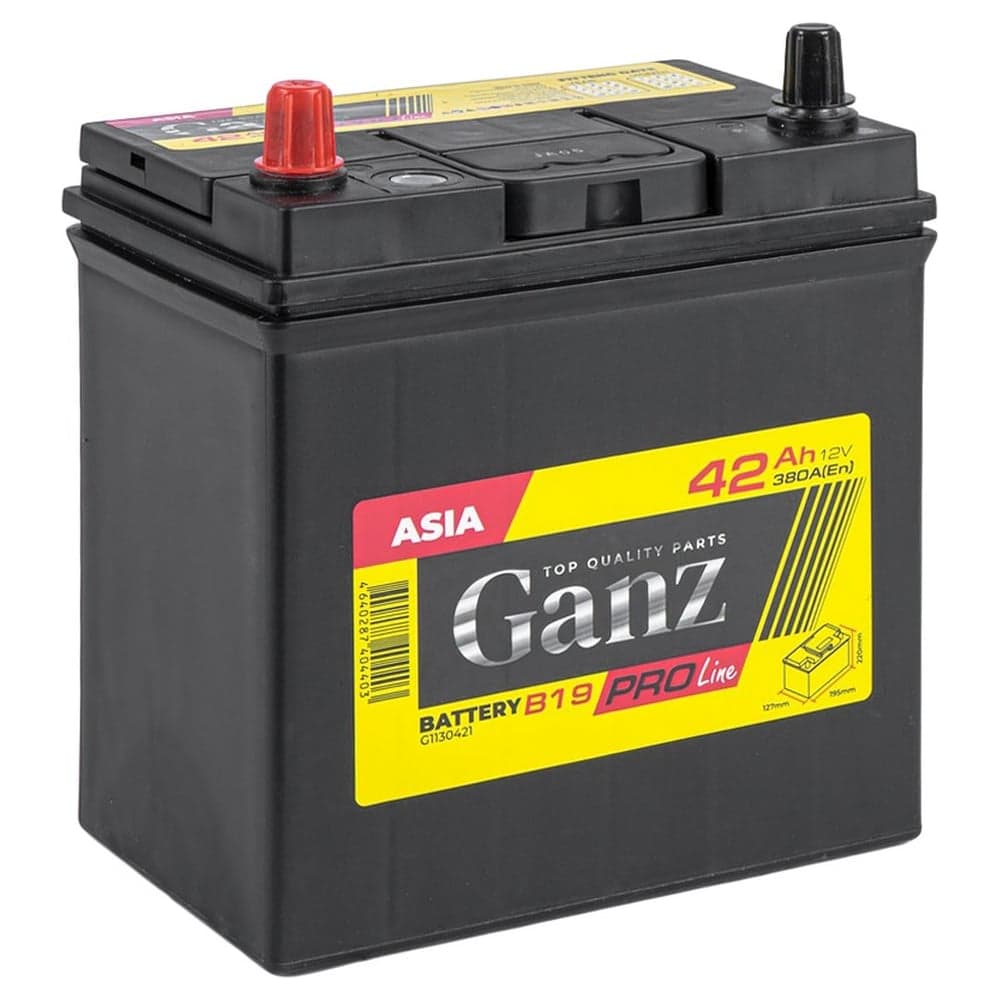 Аккумулятор Ganz PRO-Line JIS 42 А/ч прямой L+ 195x127x220 B19 EN 380 А G1130421
