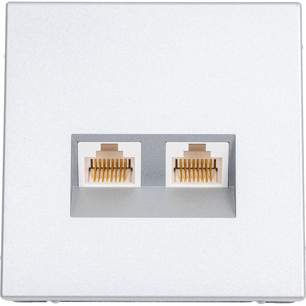 Розетка двойная компьютерная Systeme Electric ARTGALLERY RJ45+RJ45, кат. 5е, механизм, АЛЮМИНИЙ GAL000385
