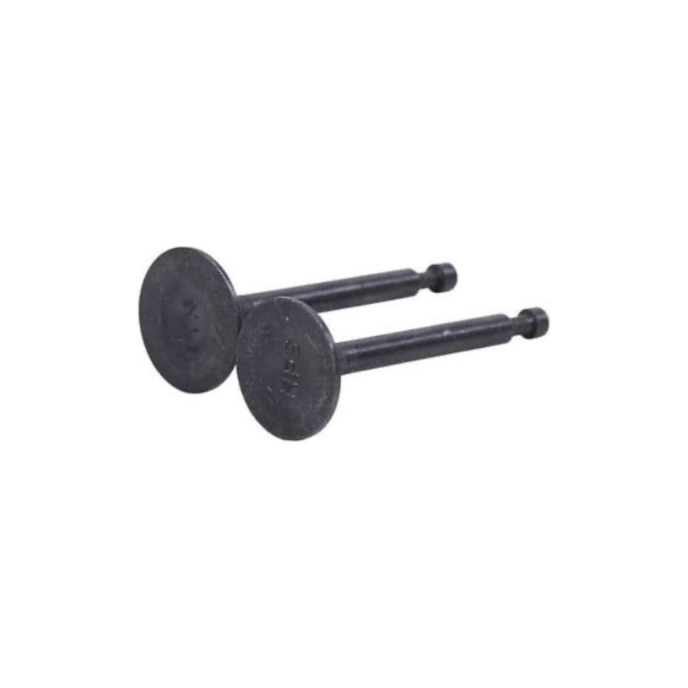 Клапан впускной/выпускной для двигателя SKIPER 168F/170F K62, набор 2 шт. 00-00024813