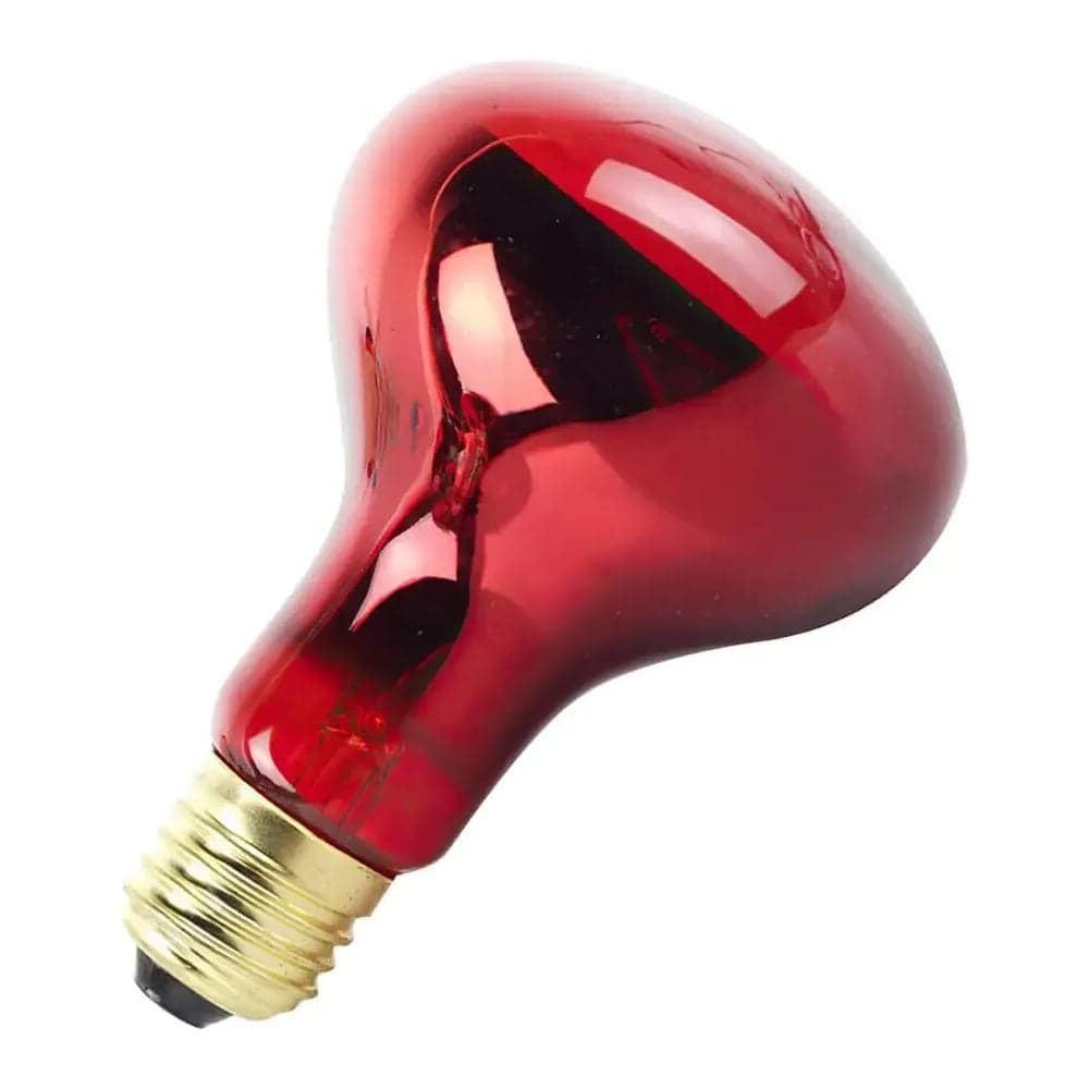 Лампа инфракрасная LightBest ERK R63 60W E27 RED 700109031