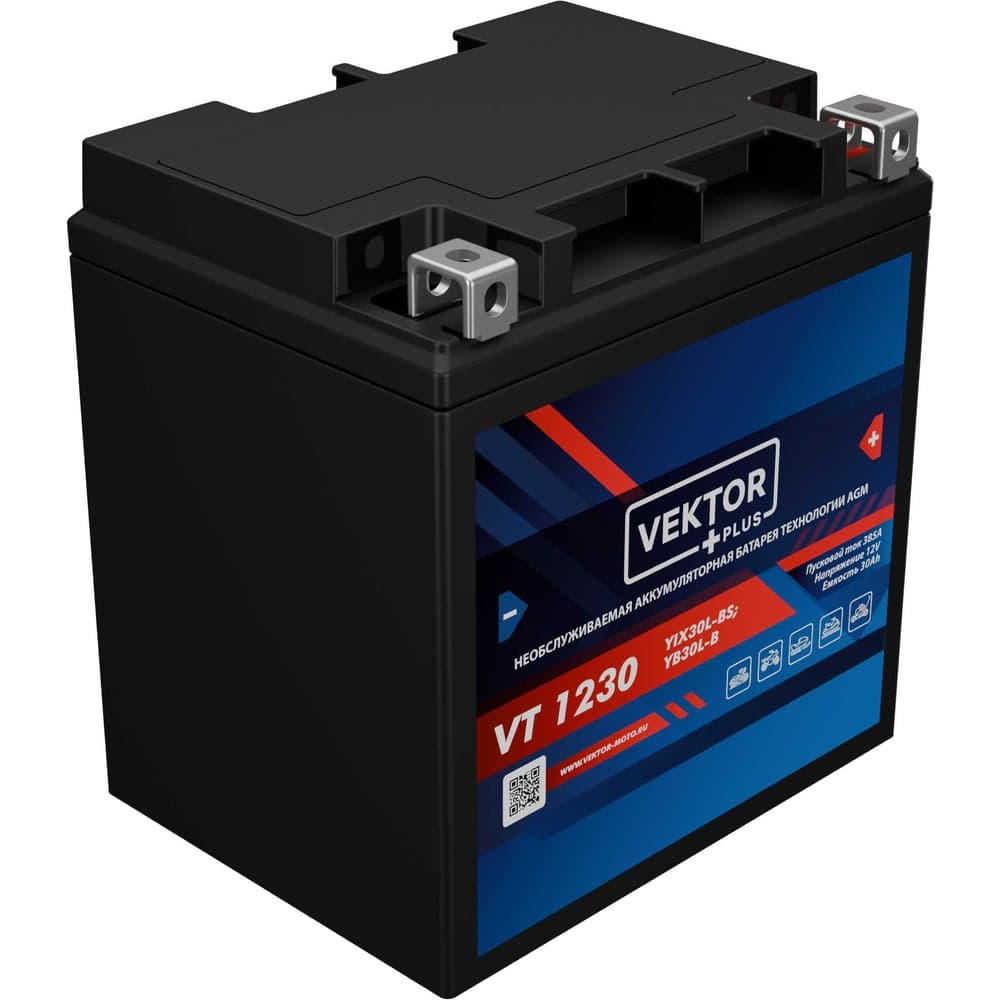 Аккумуляторная батарея VEKTOR PLUS VT 1230 Vektor Energy 19382