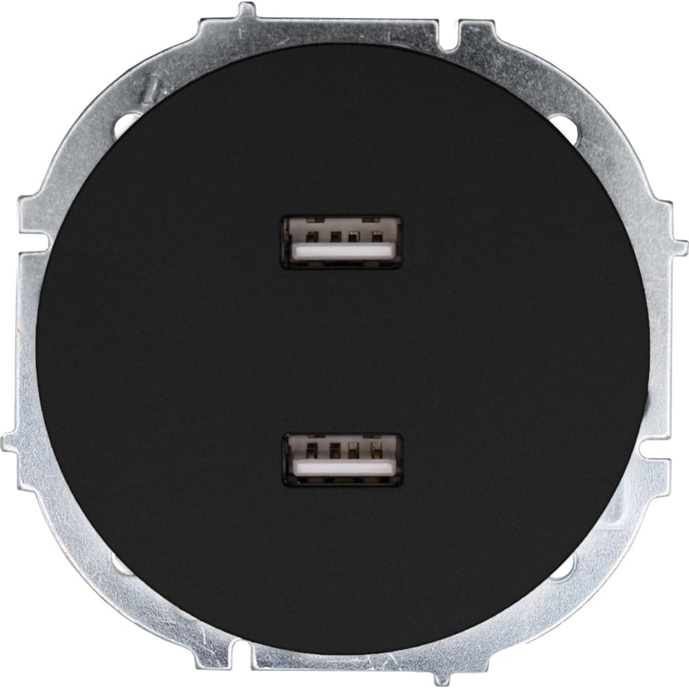 Розетка 2-ая USB разъем Lezard OSEN чёрный бархат 743-4288-192