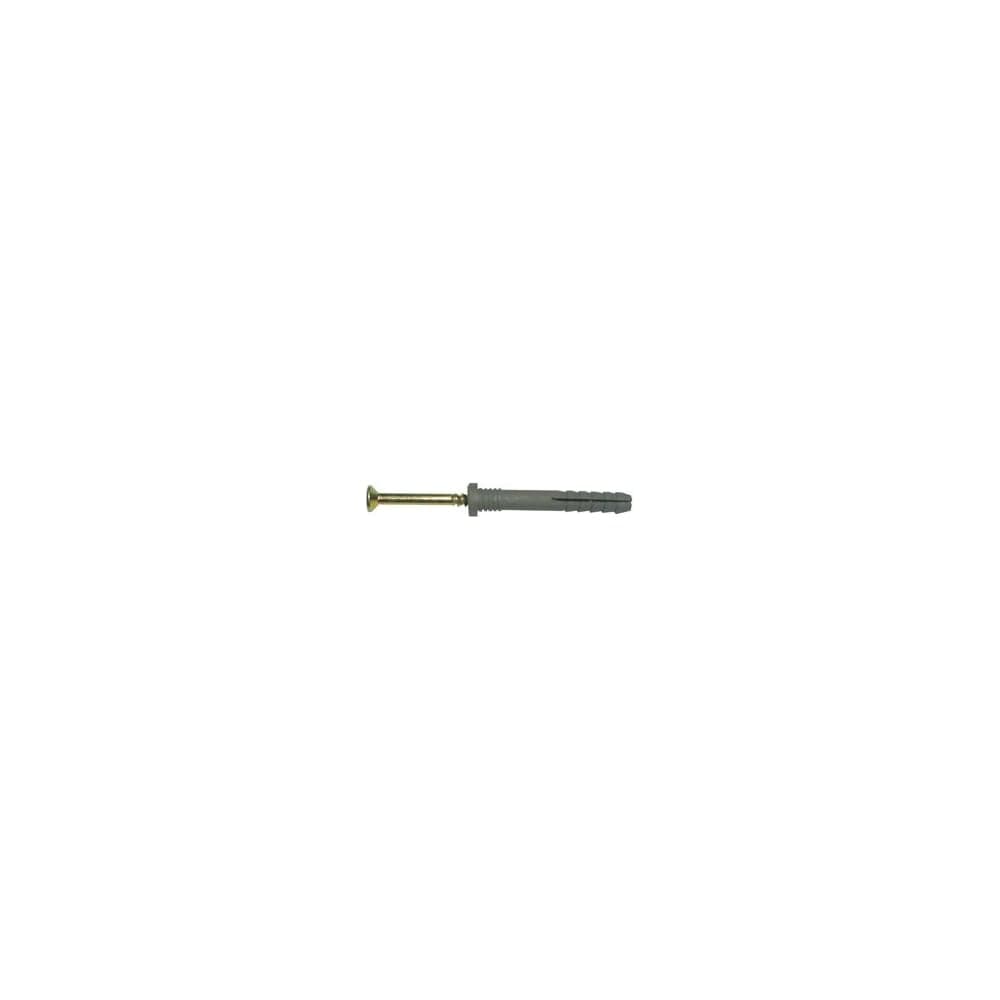 Дюбель-гвоздь SWFS 8L100, 2 шт. пакетик тов-187572
