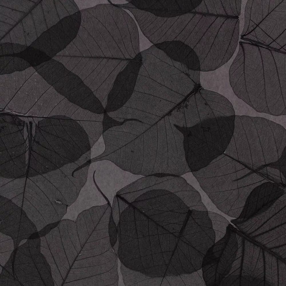 Натуральные обои Cosca Decor Листья Прима Ахумадо, 5.5x0.91 м СПБ003108