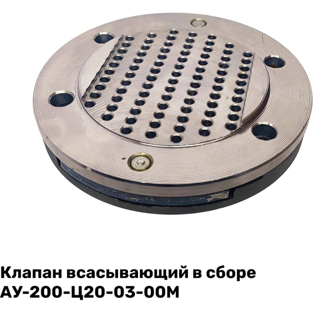 Клапан всасывающий в сборе АУ-200-Ц20-03-00М ЭнергоРесурс 2201003