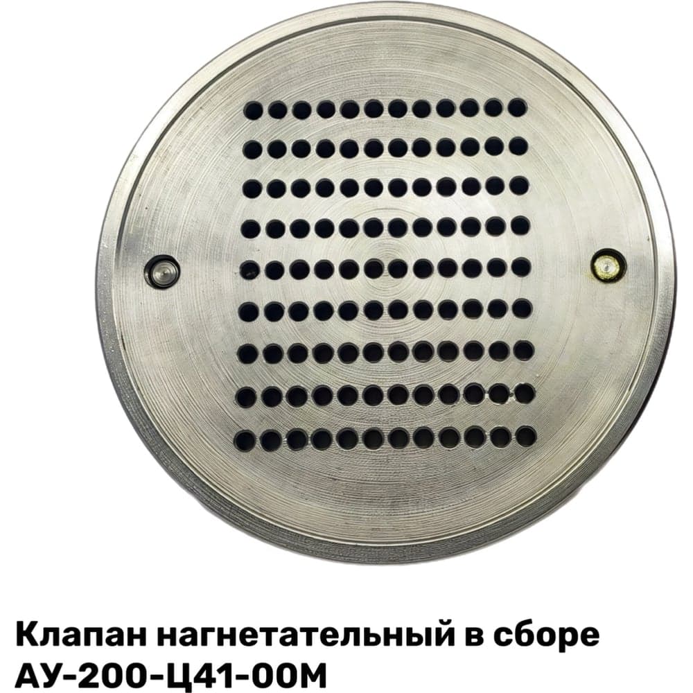 Клапан нагнетательный в сборе ЭнергоРесурс АУ-200-Ц41-00М 2201004