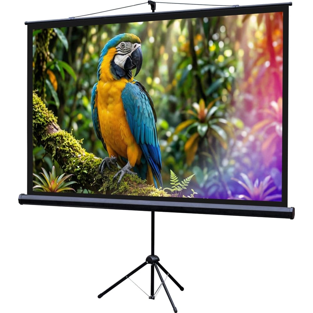 Экран на штативе Lumien LEV-100113 Eco View 110x192см (раб.область104х186 см) (84) Matte White 16:9 \3\ 155756