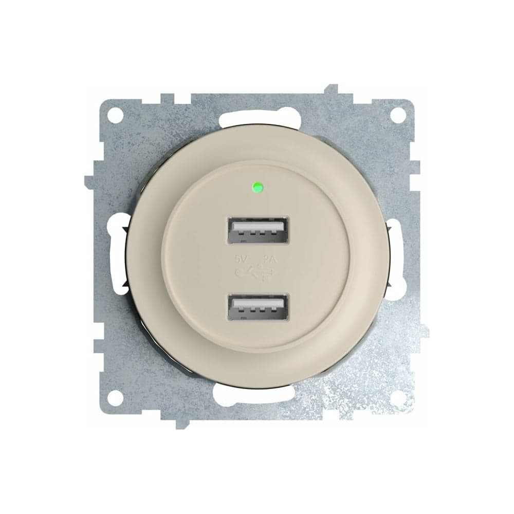 Двойная USB розетка с подсветкой OneKeyElectro, цвет бежевый 2260090