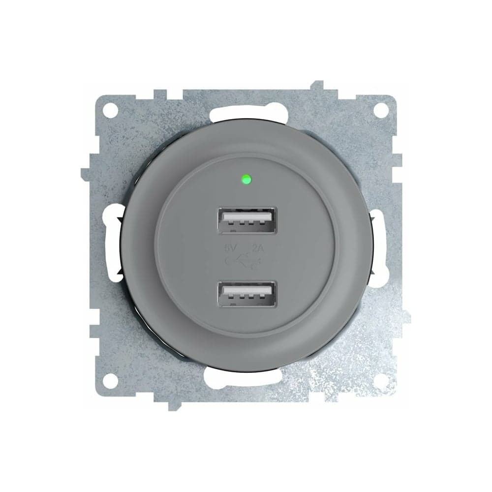 Двойная USB розетка с подсветкой OneKeyElectro, цвет серый 2260091