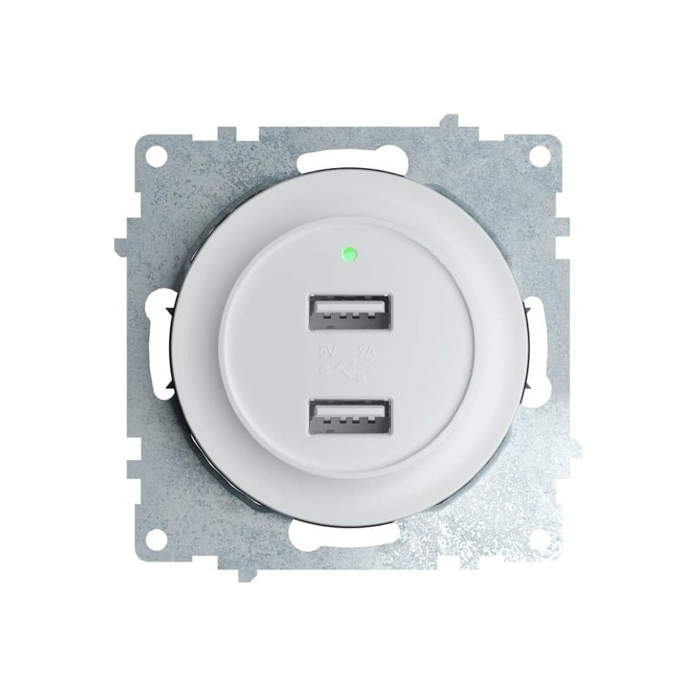 Двойная USB розетка с подсветкой OneKeyElectro, цвет белый 2260089