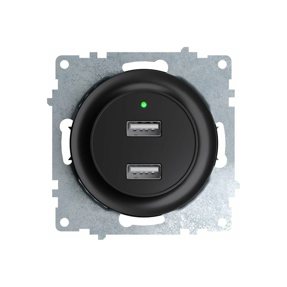 Двойная USB розетка с подсветкой OneKeyElectro, цвет черный 2260092