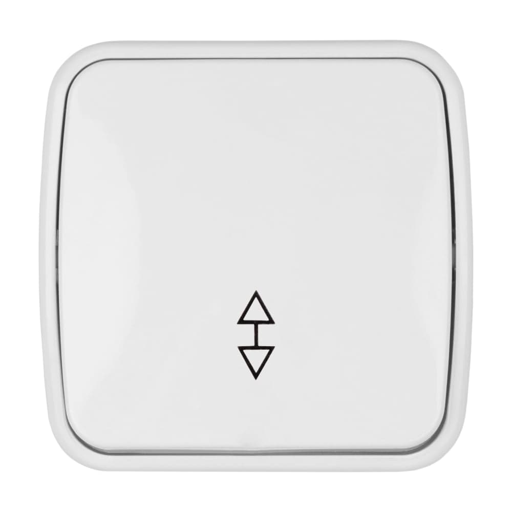 Переключатель белый, на 2 направления 1-клавишный TDM ELECTRIC, открытой установки IP20 10А серия "Дача" Народная SQ1824-0003