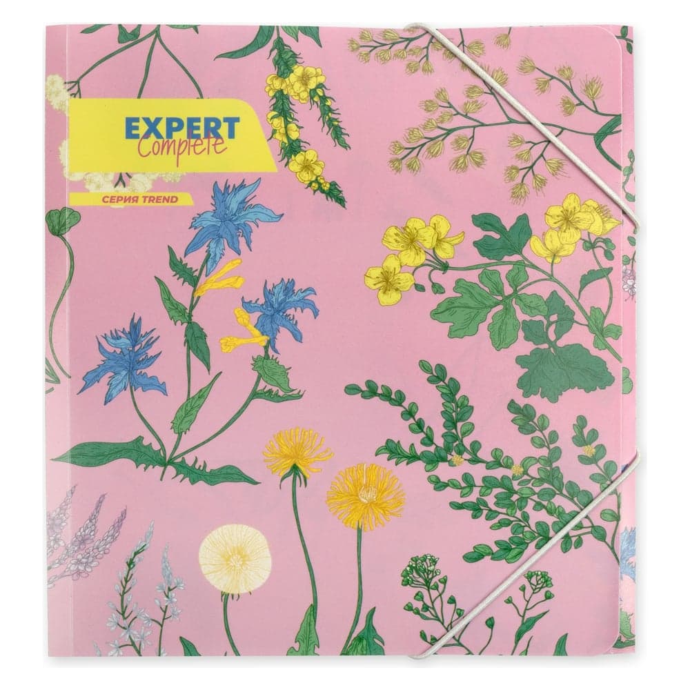 Папка Expert Complete на резинке, A5, 450 мкм, 25 мм, песок №01 - Цветочки, уп. 6 шт. 647672