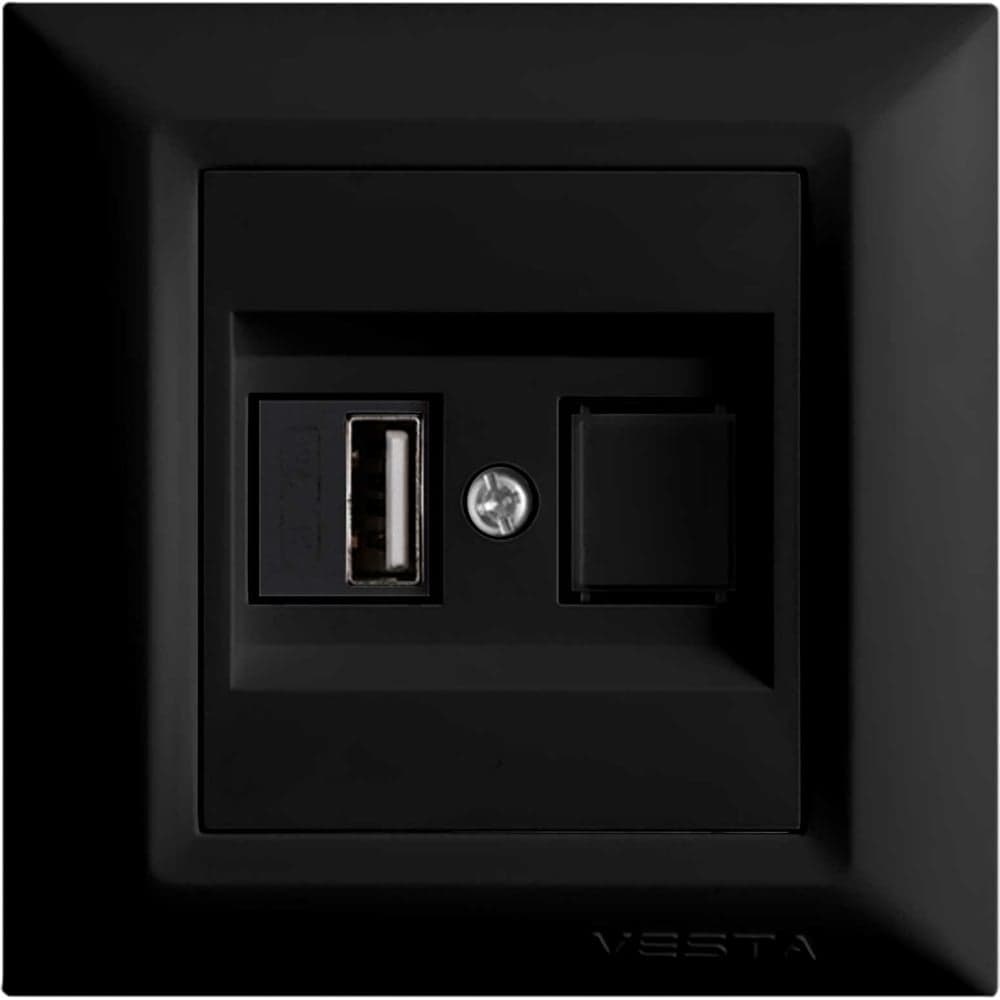 Розетка Metronex Electric Рим usb FRZ00050203CMT