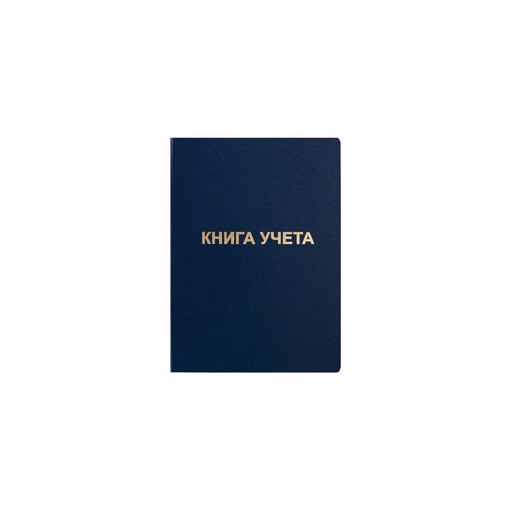 Книга учета INFORMAT 192 л., клетка, офсет, А4 б/винил, вертикальная, синий KYA4-BV192K