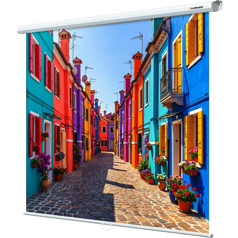 Настенный экран Lumien LEP-100101 Eco Picture 150x150 см, Matte White, восьмигранный корпус, возможность потолочного и настенного крепления 6 49118