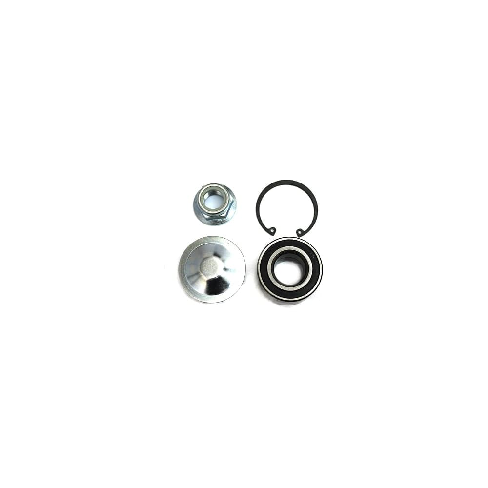 Подшипник задней ступицы для а/м Riginal Renault Logan/Megane/Sandero/Largus/Nissan Micra/Note (к-т) Riginal RG713630300