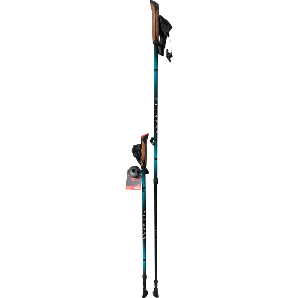 Палки для скандинавской ходьбы Tramp Fitness синий TRR-011