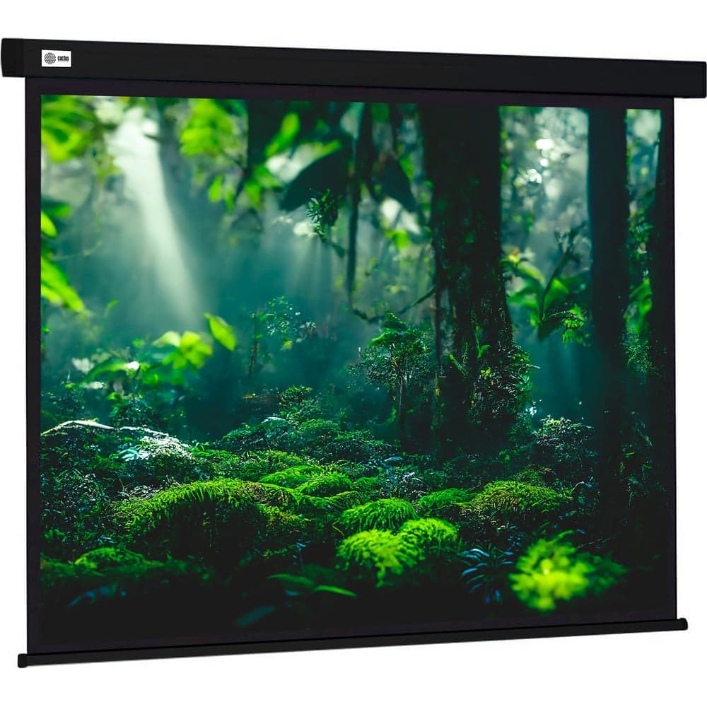 Настенно-потолочный рулонный экран CACTUS 213x213 см Wallscreen CS-PSW-213x213-BK 1:1 черный 1678341