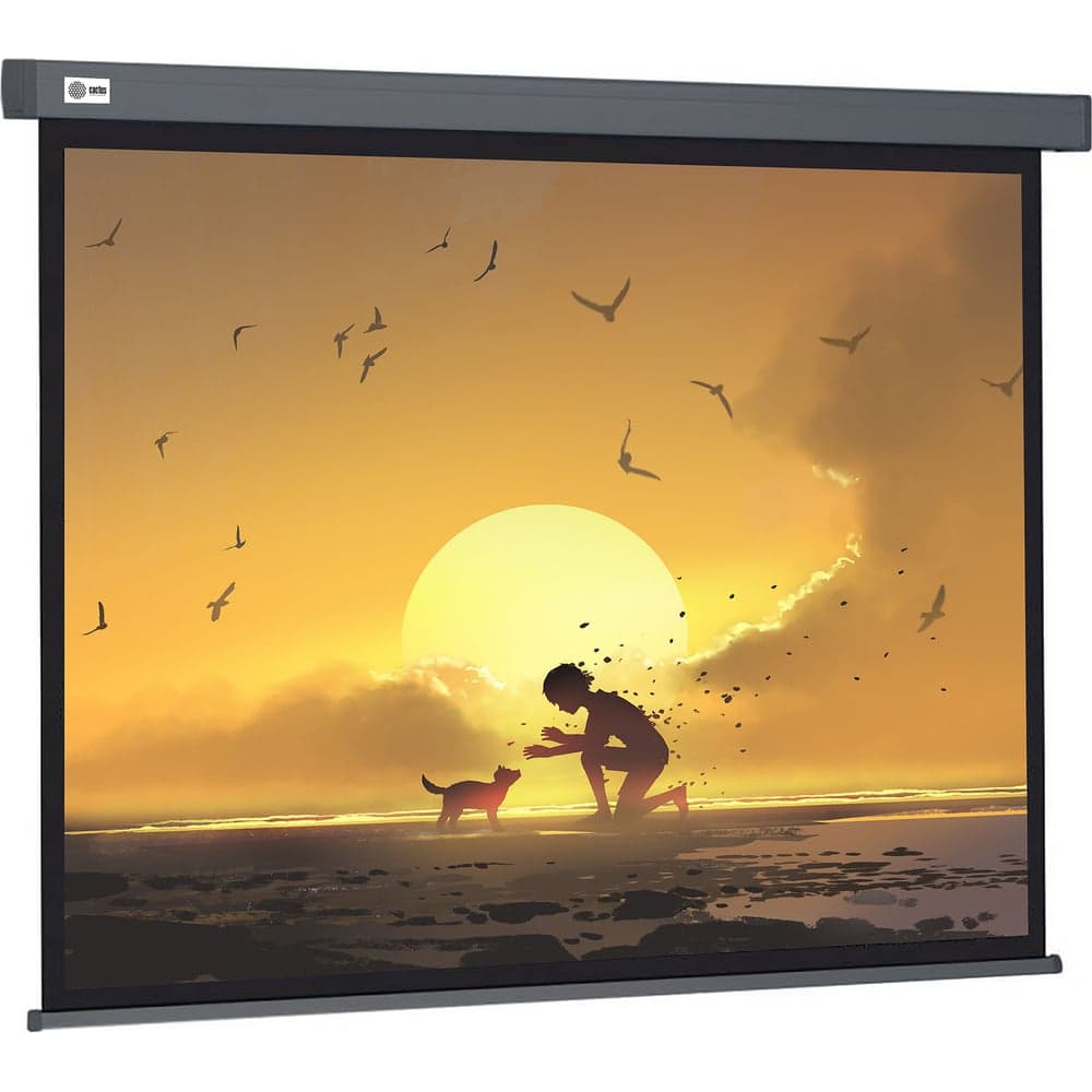 Настенно-потолочный рулонный экран CACTUS 124.5x221 см Wallscreen CS-PSW-124x221-SG 16:9 серый 1678292