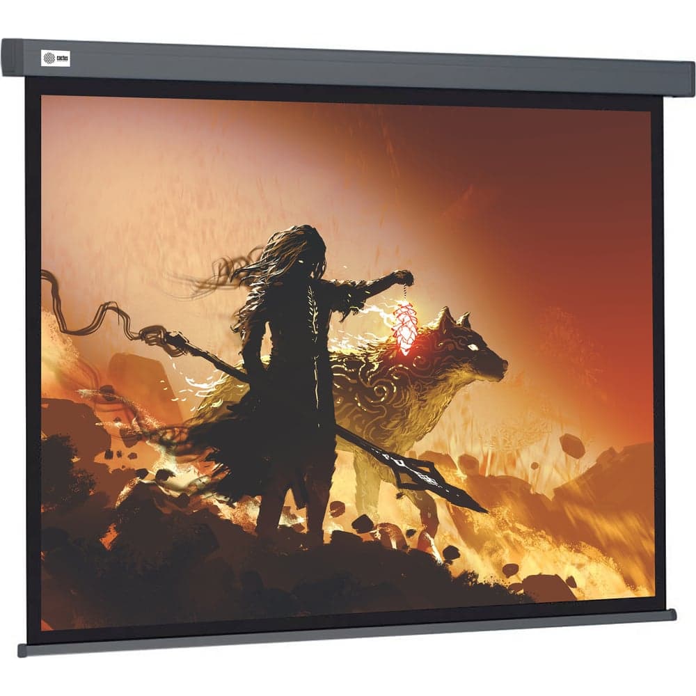 Настенно-потолочный рулонный экран CACTUS 213x213 см Wallscreen CS-PSW-213x213-SG 1:1 серый 1678340