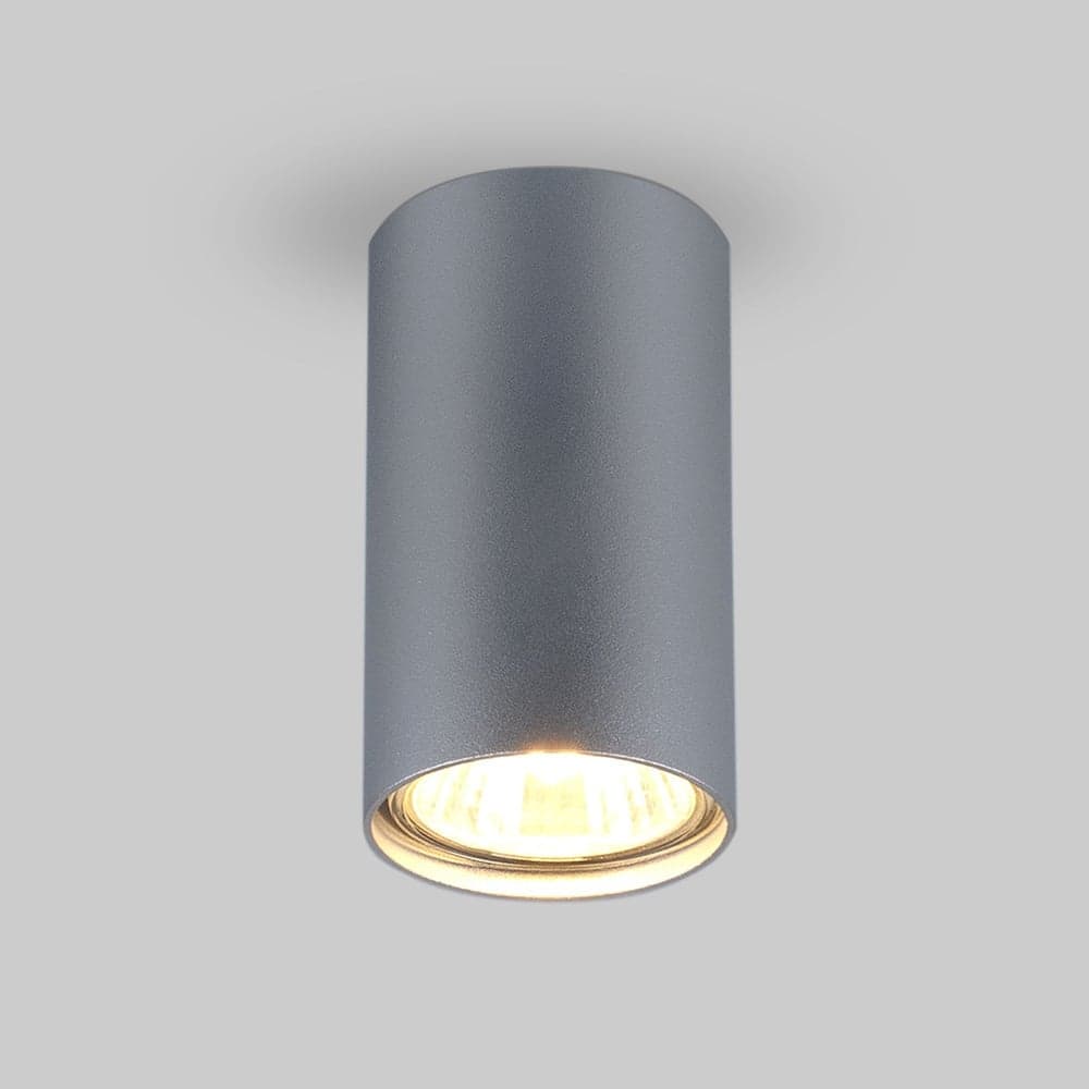 Накладной светильник Elektrostandard 1081 GU10 SL серебро 5257 a037714