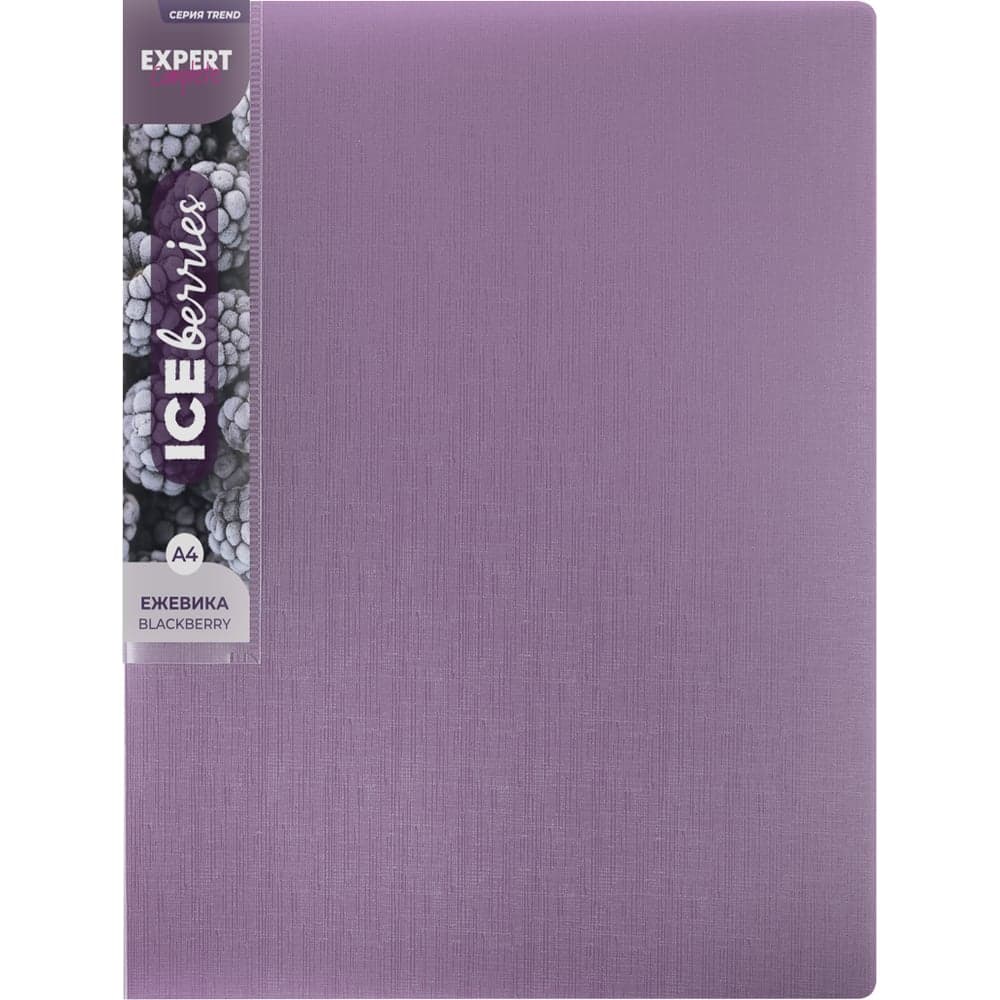Папка Expert Complete с металлическим прижимом A4 Trend ICEberries 700 мкм 20 мм 1 шт ежевика 709144