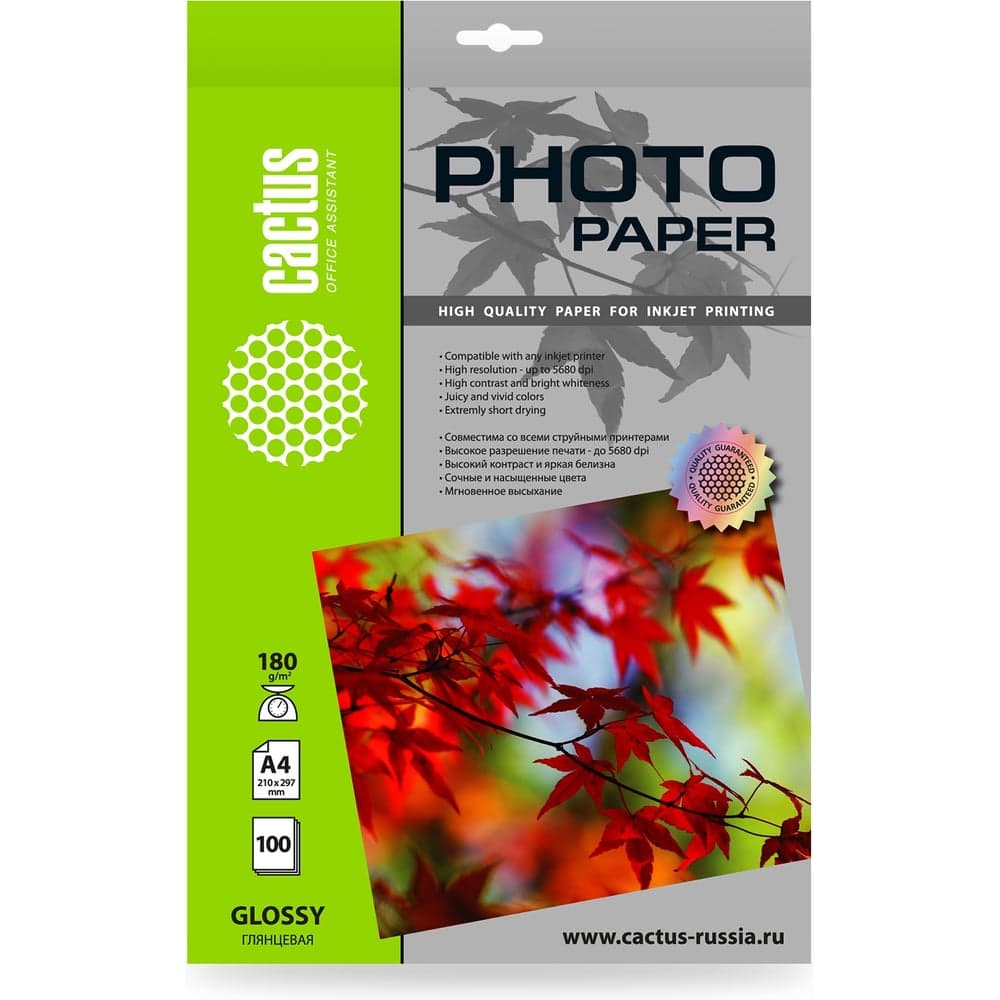 Фотобумага CACTUS CS-GA4180100 A4, 180 г/м2, 100 листов, белый глянцевое для струйной печати 1146801