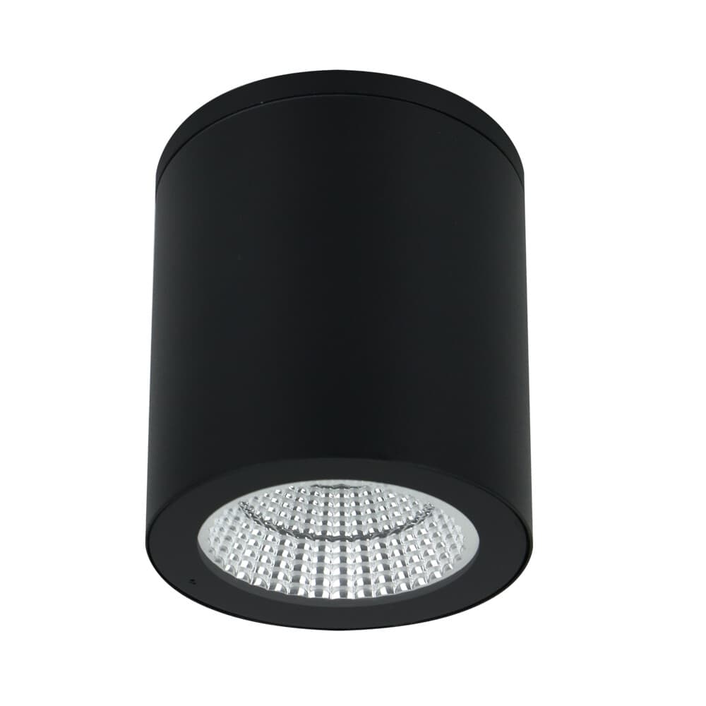 Светильник светодиодный садово-парковый накладной Arte Lamp Torcular черный 130 мм 4000К 13 Вт IP65 (A1813PF-1BK)