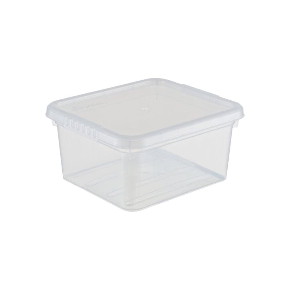 Ящик для хранения с крышкой FunBox, 2 л, Бейсик FB1011