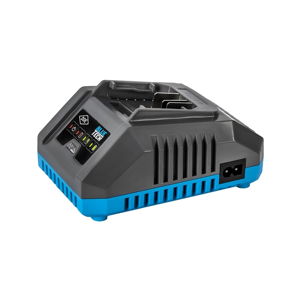 Зарядное устройство DDE BlueTech BC 2-40 (40 В, 2,0 А) 925-259